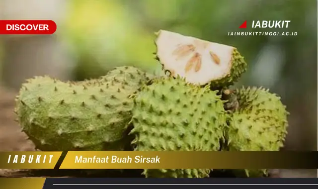 manfaat buah sirsak