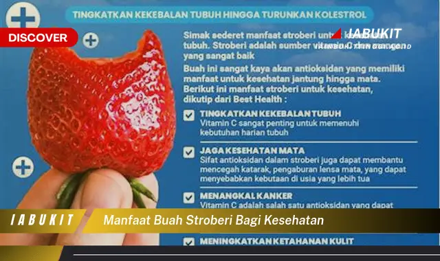 manfaat buah stroberi bagi kesehatan