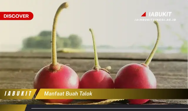 manfaat buah talok