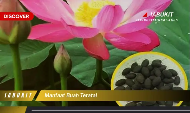 manfaat buah teratai