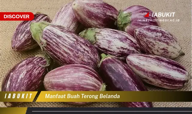 Ternyata bukan buah jambu? Ini dia 5 Manfaat buah terong belanda yang wajib diintip! - E-Jurnal