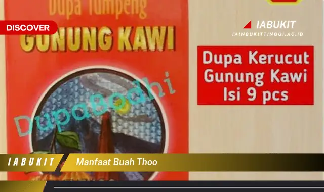 Bukan cuma buah mangga, Ketahui 5 Manfaat buah thoo yang bikin penasaran - E-Jurnal