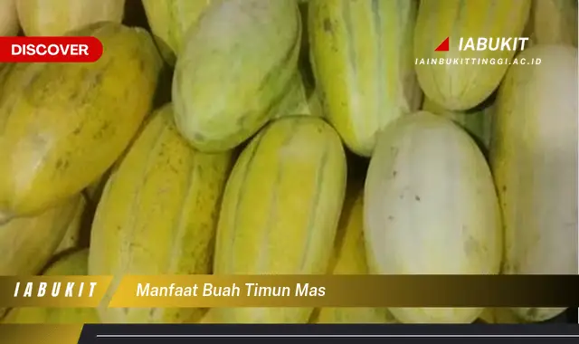 manfaat buah timun mas