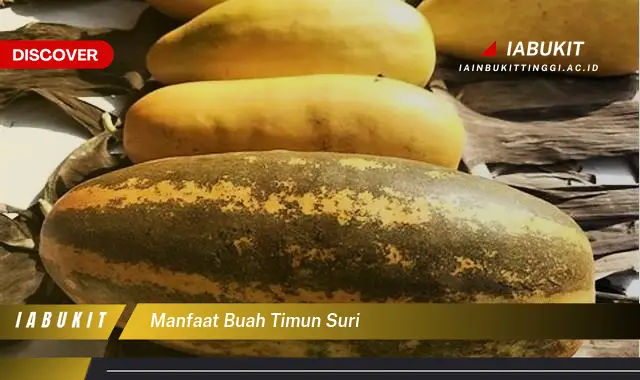 manfaat buah timun suri