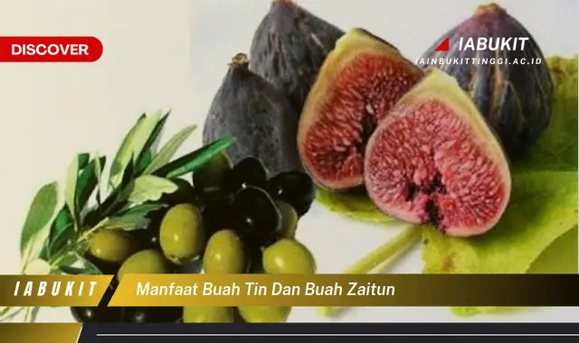 manfaat buah tin dan buah zaitun