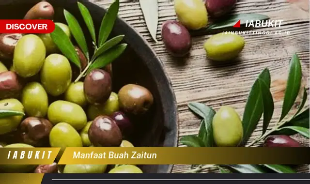 manfaat buah zaitun