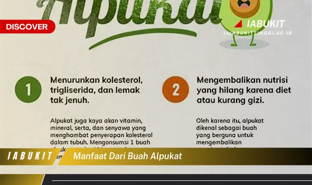 manfaat dari buah alpukat