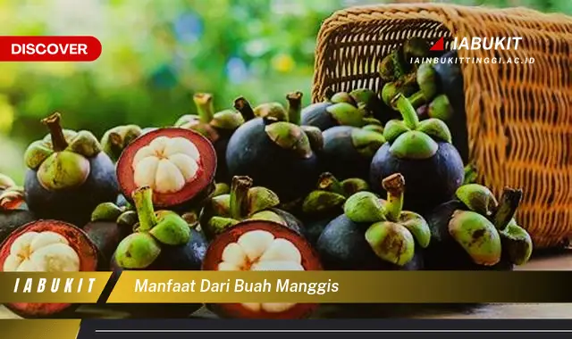 manfaat dari buah manggis