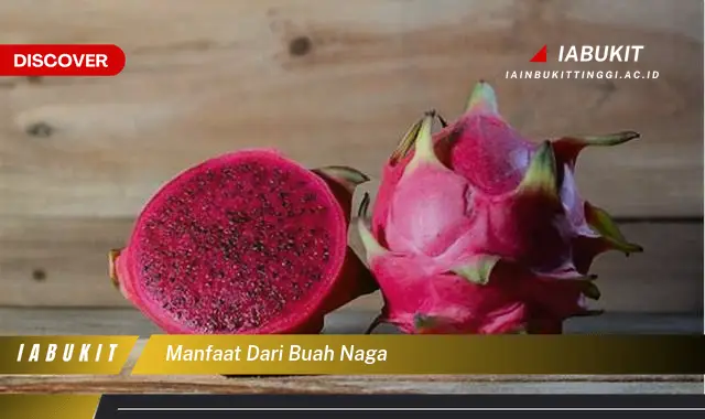 manfaat dari buah naga