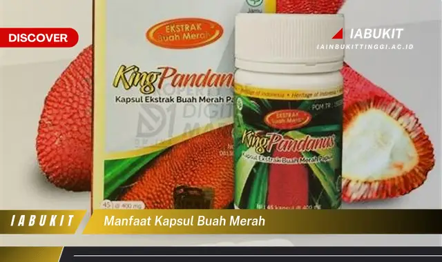 manfaat kapsul buah merah