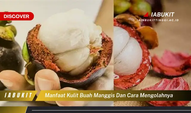 manfaat kulit buah manggis dan cara mengolahnya