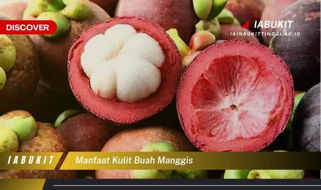 manfaat kulit buah manggis