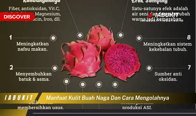 manfaat kulit buah naga dan cara mengolahnya