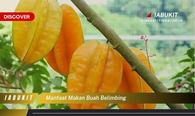 manfaat makan buah belimbing