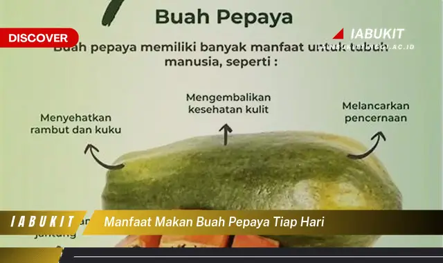 Temukan 20 Manfaat Makan Buah Pepaya Tiap Hari yang Jarang Diketahui - E-Jurnal