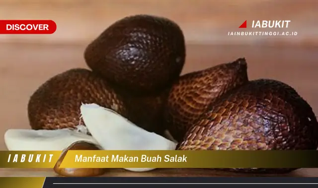 manfaat makan buah salak