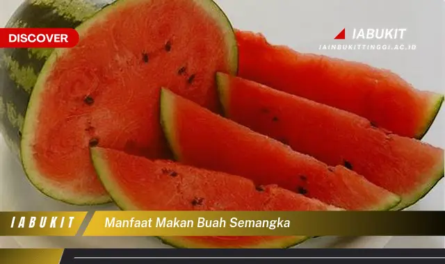 manfaat makan buah semangka