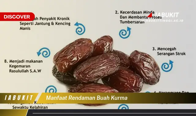 manfaat rendaman buah kurma