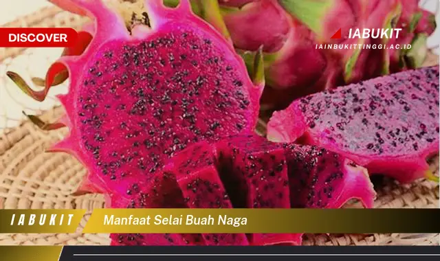 manfaat selai buah naga