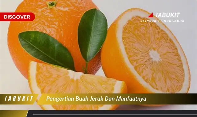pengertian buah jeruk dan manfaatnya pengertian buah jeruk dan manfaatnya