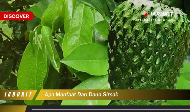 apa manfaat dari daun sirsak