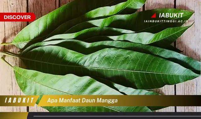 apa manfaat daun mangga