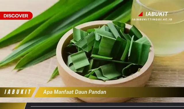 apa manfaat daun pandan