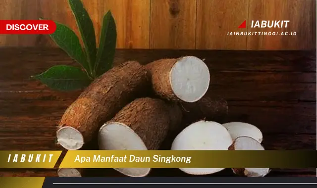 apa manfaat daun singkong