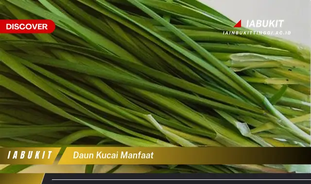 daun kucai manfaat