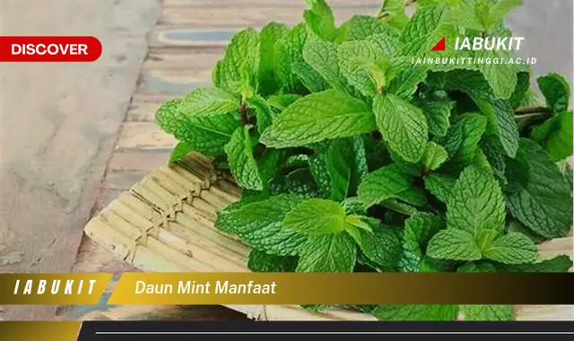 daun mint manfaat