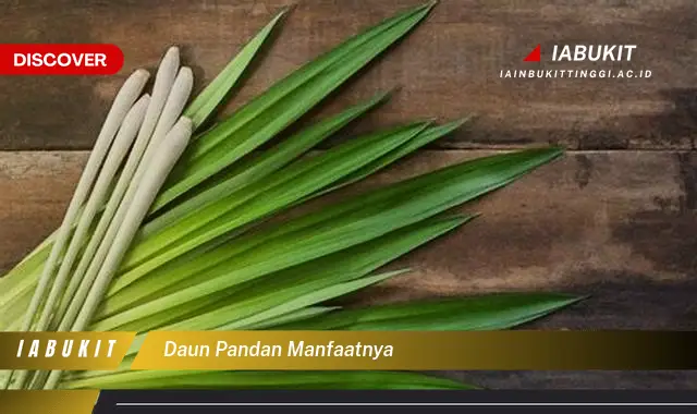 daun pandan manfaatnya