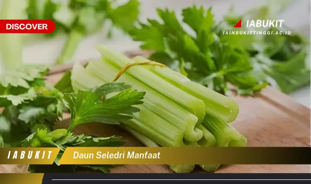 daun seledri manfaat