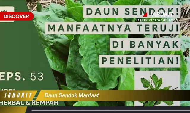 daun sendok manfaat