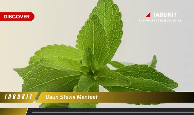 daun stevia manfaat