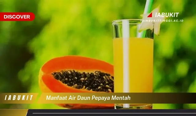 manfaat air daun pepaya mentah