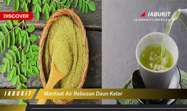 manfaat air rebusan daun kelor