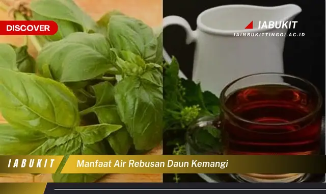 manfaat air rebusan daun kemangi