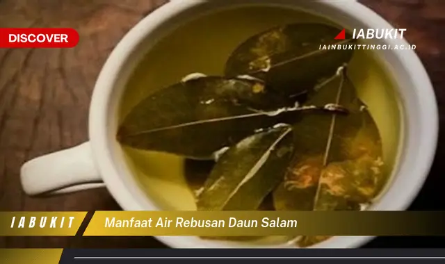 manfaat air rebusan daun salam