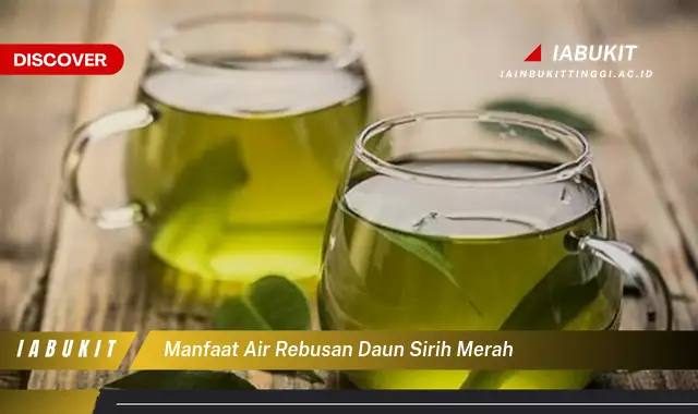 manfaat air rebusan daun sirih merah