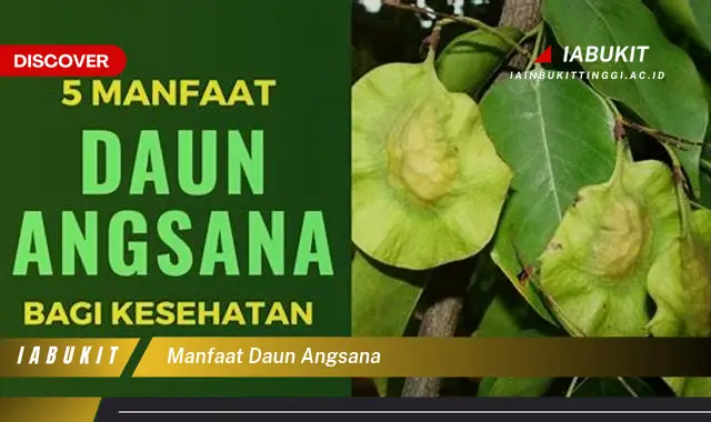 manfaat daun angsana