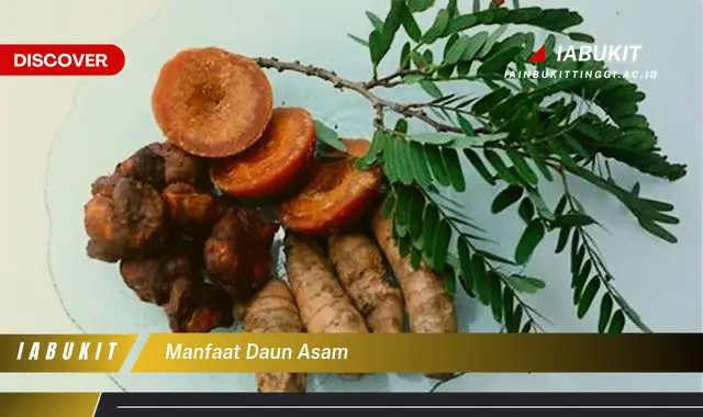 manfaat daun asam