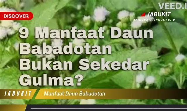 manfaat daun babadotan