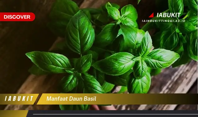 manfaat daun basil