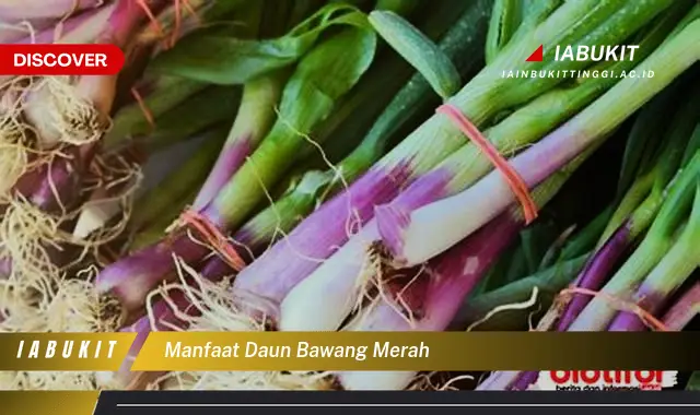 manfaat daun bawang merah