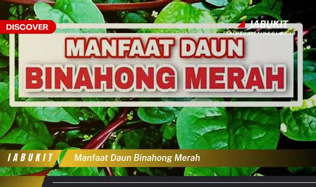 manfaat daun binahong merah