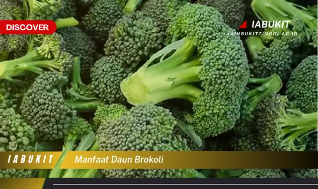 manfaat daun brokoli