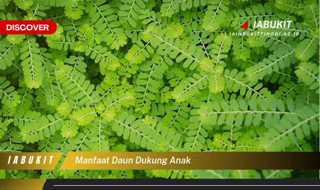 manfaat daun dukung anak