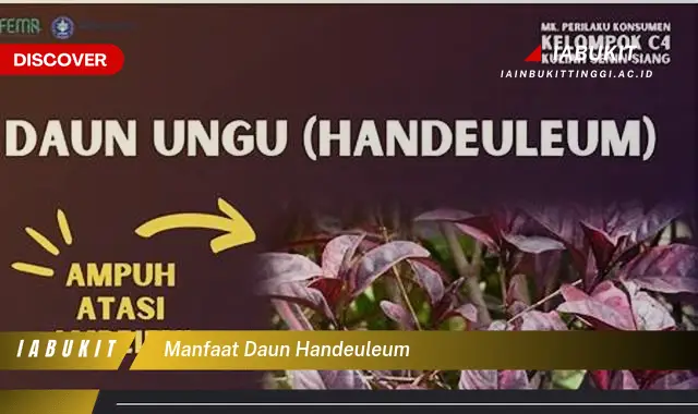 manfaat daun handeuleum