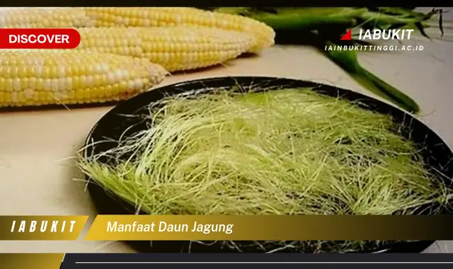 manfaat daun jagung