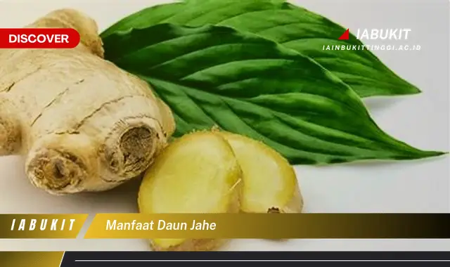 manfaat daun jahe